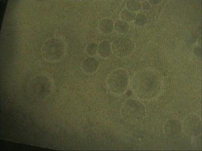 Larger images